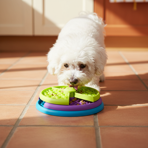 Small dog calmly eating from rotating slow feeder puzzle bowl, premium lifestyle shot